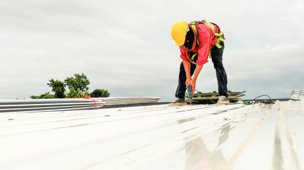Best Rubber Roofing (EPDM, TPO)  in Berea, SC