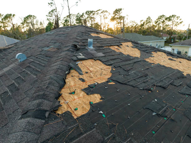 Best Roof Coating and Sealing  in Berea, SC